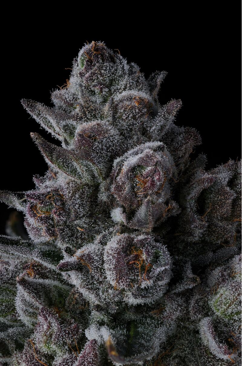 Old Money, Фасовка: 3, изображение 3